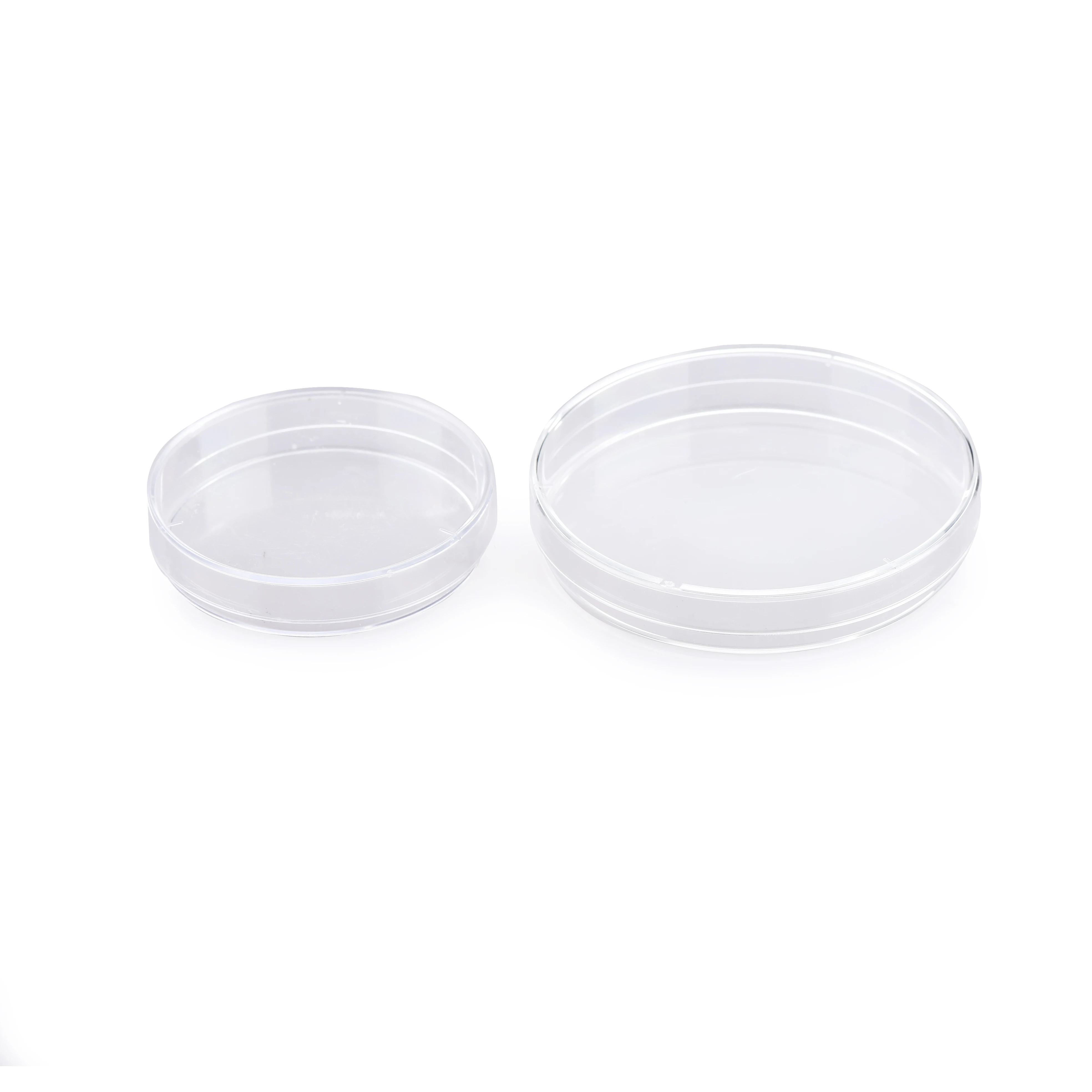 Petri Dish