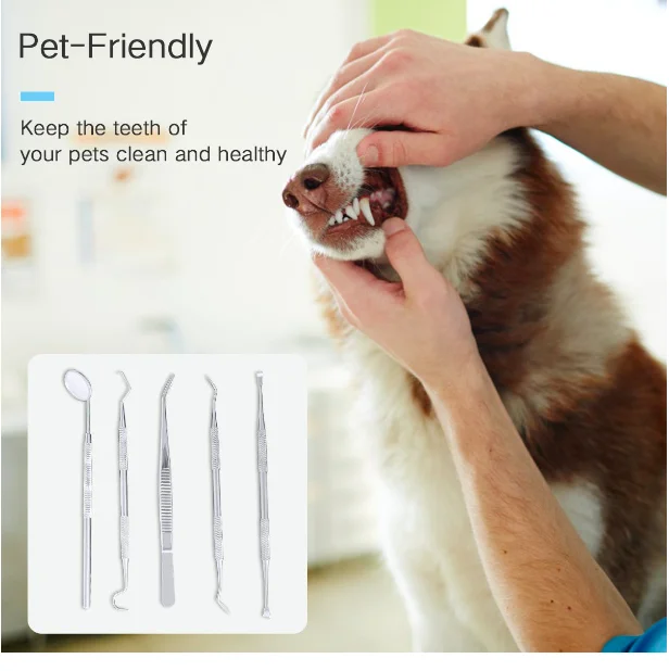 New Arrival Premium Quality Dental Tools Kit Dental Hygiene Kit For Teeth Cleaning Dental cleaning whitening