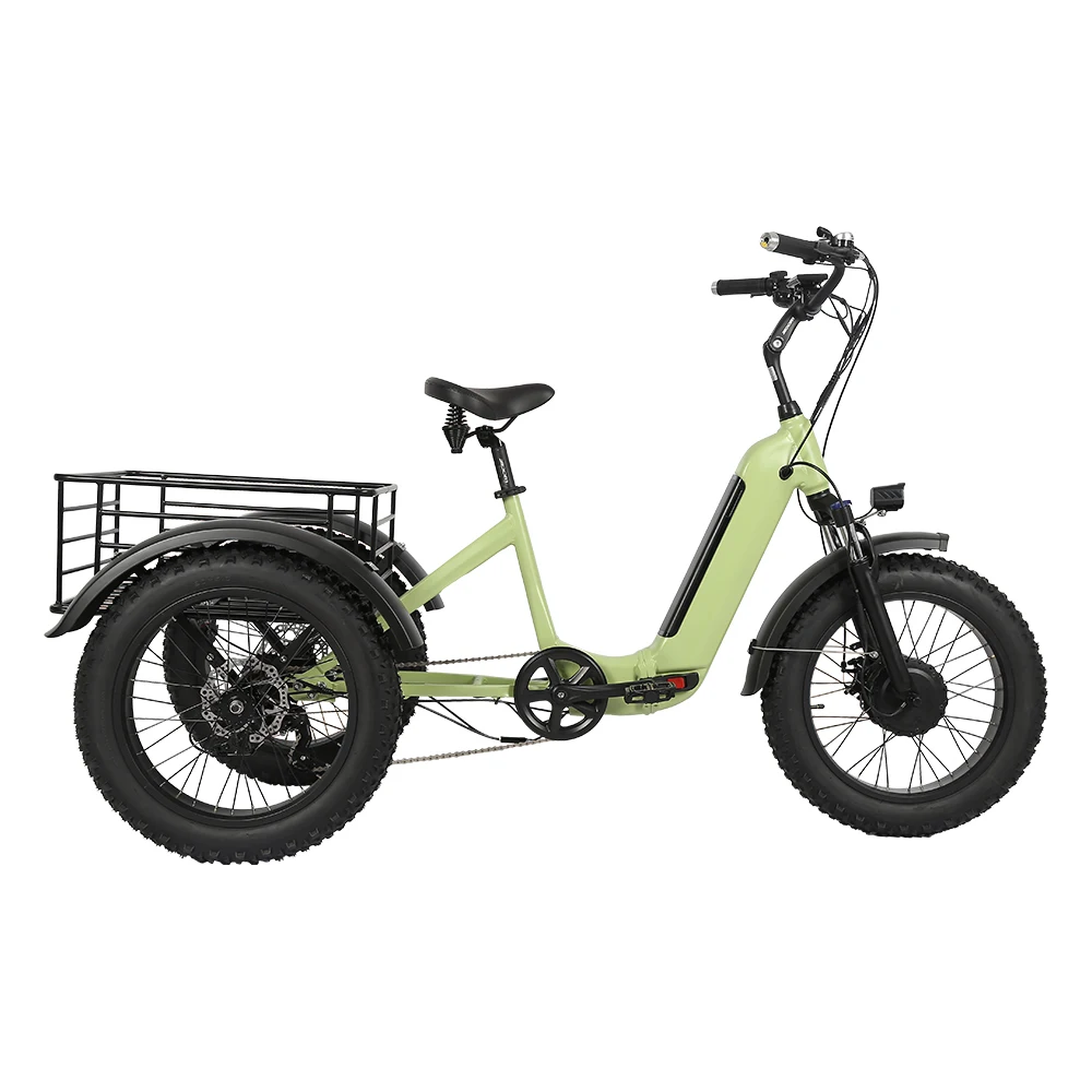 ANLOCHI 48V 500W 750W foldable material double battery E fat trike cargo tricycle 3 wheel bike Electric trike For disabled