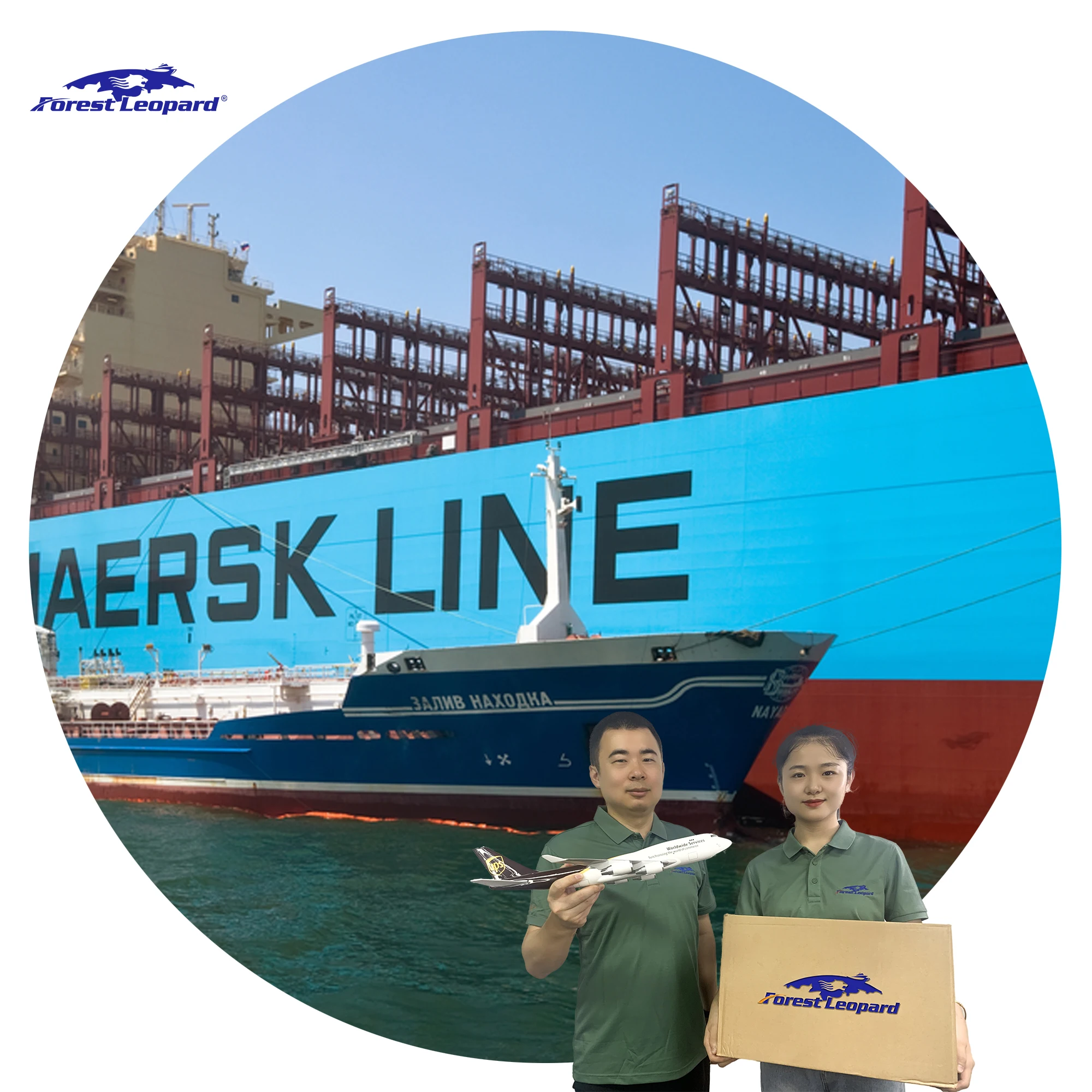 Dhl Cubic Meter Container Ocean SeaFreight Forwarder Cargo Shipping Rates From China Shenzhen To Canada Usa