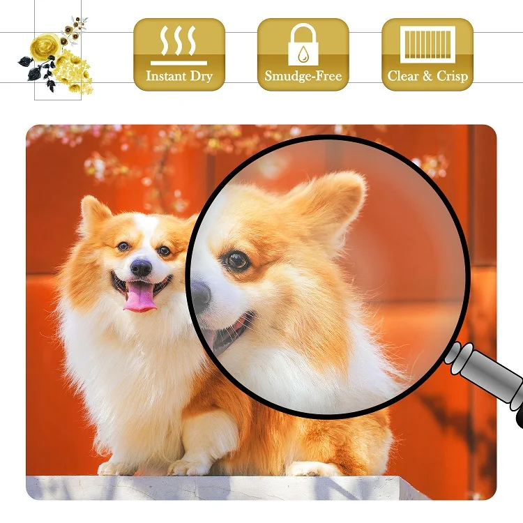 Factory in China premium 260gsm  RC glossy photo paper for office printing