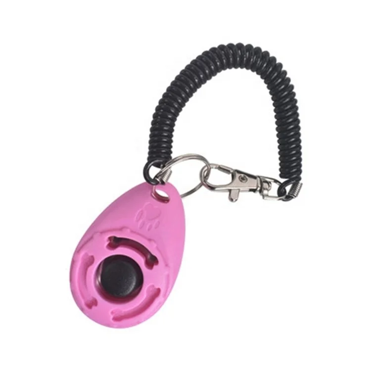 2021 latest hot selling pet training supplies keychain dog whistle for dogs to whistle to stop barking