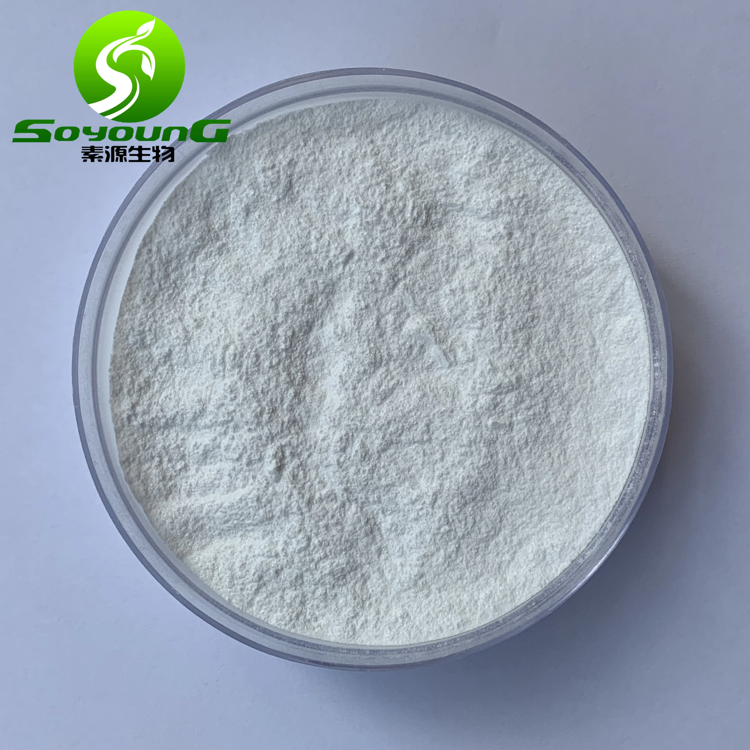 
poria cocos mushroom 10:1 poria cocos extract 