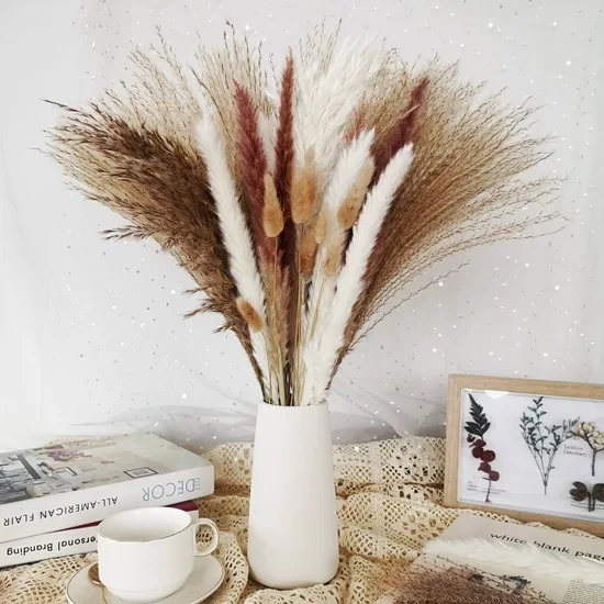 Cheap Price Real Dried Pampass Long Lasting Small Pampas Grass