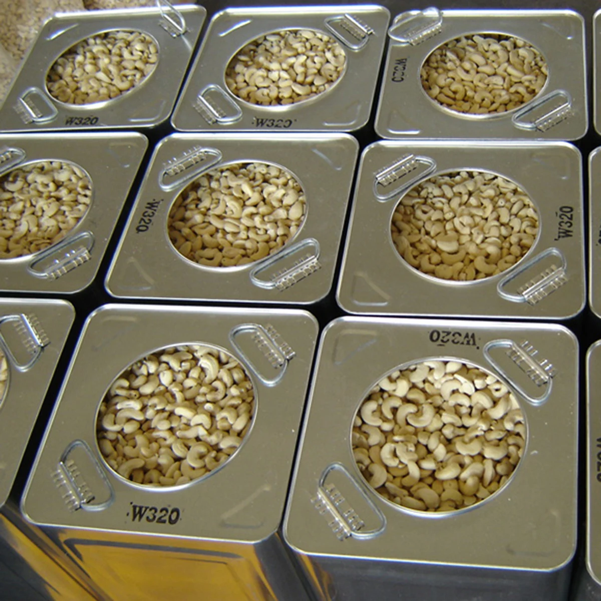 Cashew Kernel Vietnam Competitive Price Raw All Sizes Export Oriented Wholesale Cheap Price New Arrival Supplier Offers Raw Cash