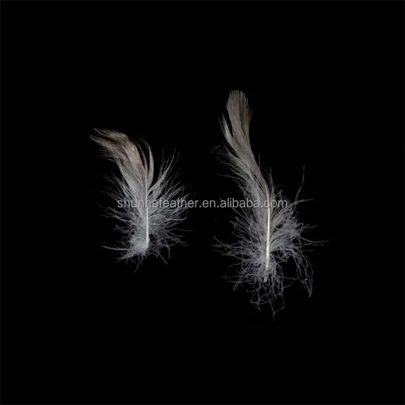 Factory Direct Sales1-2cm Washed Grey Duck Feather