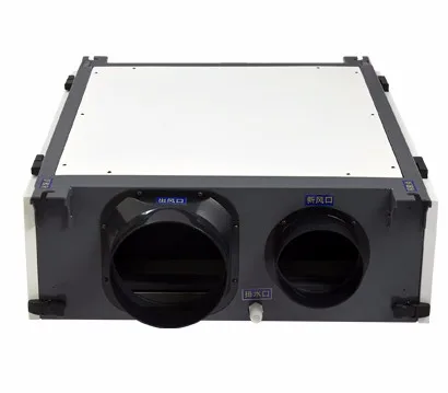 60L Per Day Greenhouse Swimming Pool Ceiling Wall Mounted Industrial Dehumidifier with WIFI Board