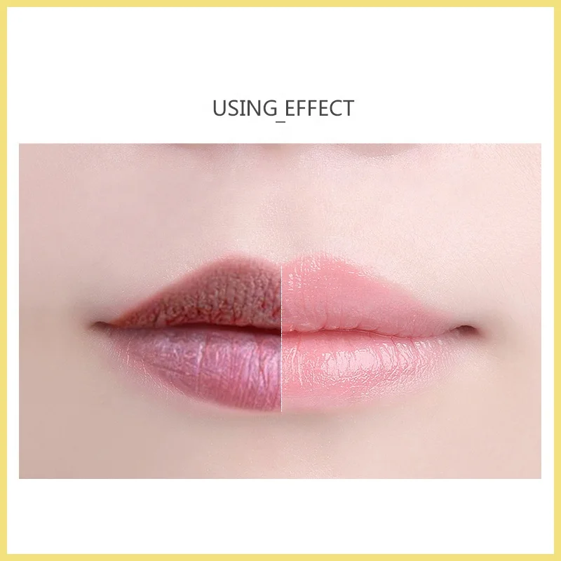 Hot Sale OEM ODM Lip Care Set Wholesale Custom Logo Natural Organic Moisturizing Chapstick Lip Balm Stick Gloss Gel Dead Skin