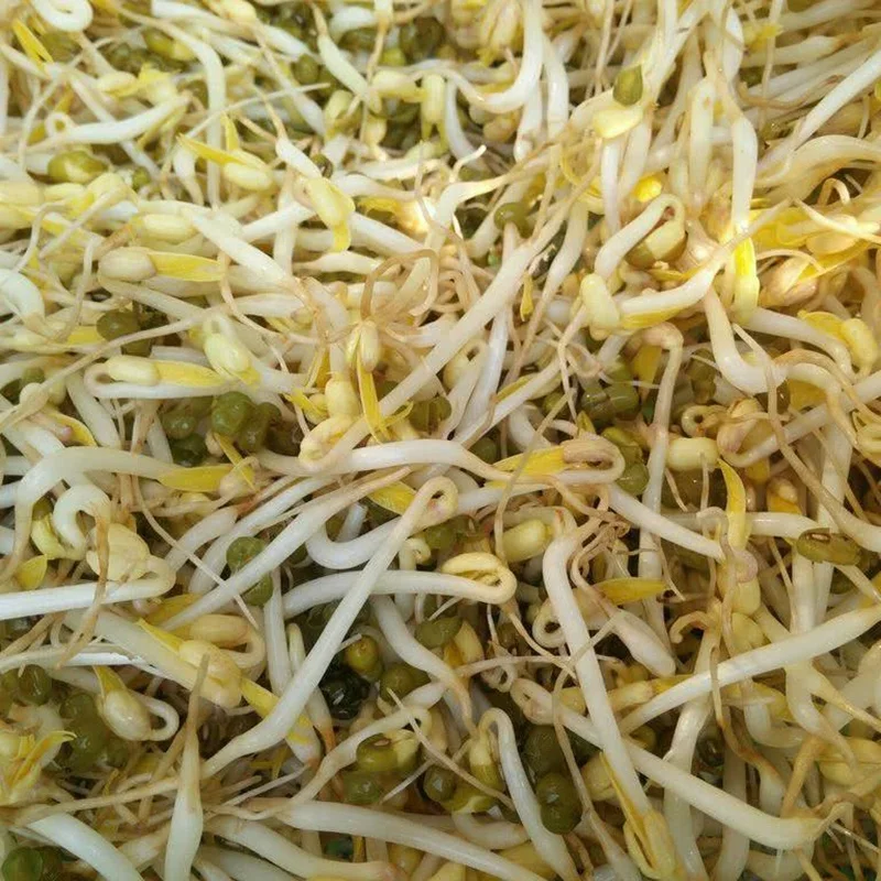
Grade AA Green Mung Beans for Sprouting with Lower Price 