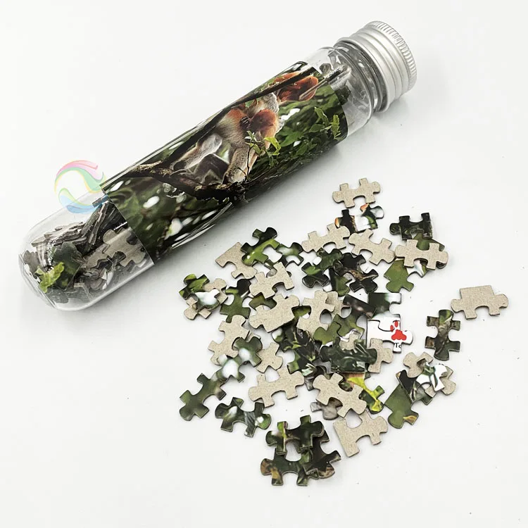 Factory Customizable Plastic Test Tube Puzzle Educational DIY Toy for Unisex Kids Made from Paper