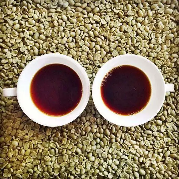 Заводская поставка Yunnan Green Arabica Coffee yunnan мелкозернистый кофе Rubiaceae Арабика в зернах