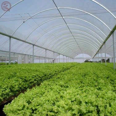 Hot Galvanized Steel Frame Agricultural Greenhouses Tunneling Irrigation System Mushroom Greenhouse