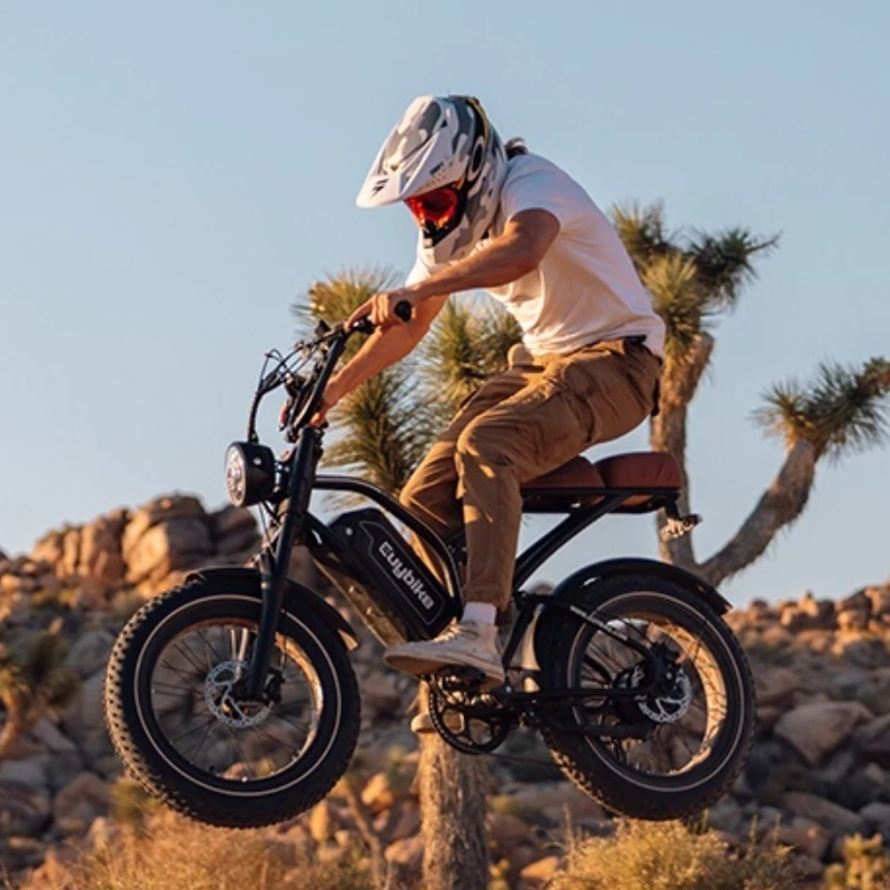 EUYBIKE S4 250W High Speed 750W 1000W Motor 15AH 20AH Battery 48v Electric Hybrid Bike in EU USA Warehouse