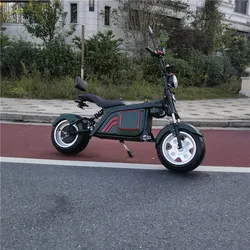Dropshipping 2022 Latest Eec Coc Long Range 60V 30AH  2000w 3000W Fat Tire Motorcycles Electric Scooter Citycoco