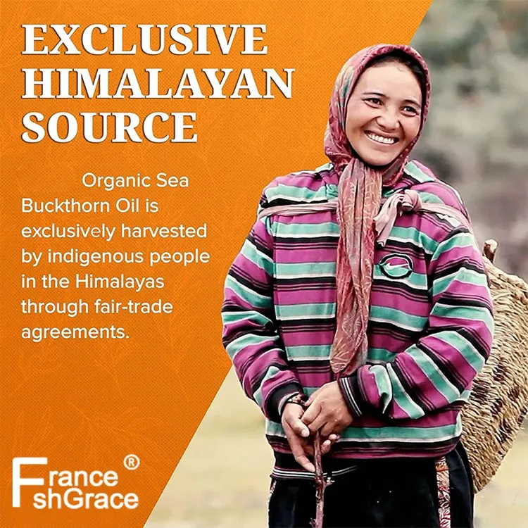 60 Day Supply Premium Organic Himalayan Sea Buckthorn Oil Supplement Omega-7 Softgels for Healthy Skin Hair Nails and Dryness