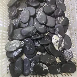 Wholesale Natural Raw Stone Specimen Mineral Rough Chrysanthemum Palm Stone For Decoration