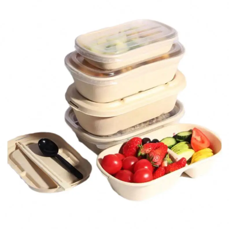 Eco environmentally friendly sugarcane bagasse biodegradable compostable lunch box sugarcane disposable tableware