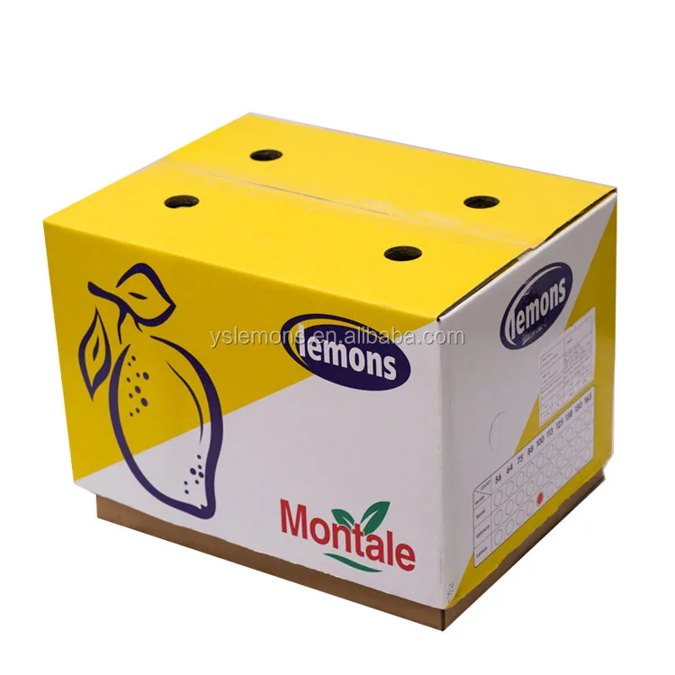 Montale Farm Directly Supply Anyue Fresh Good Price Lemon