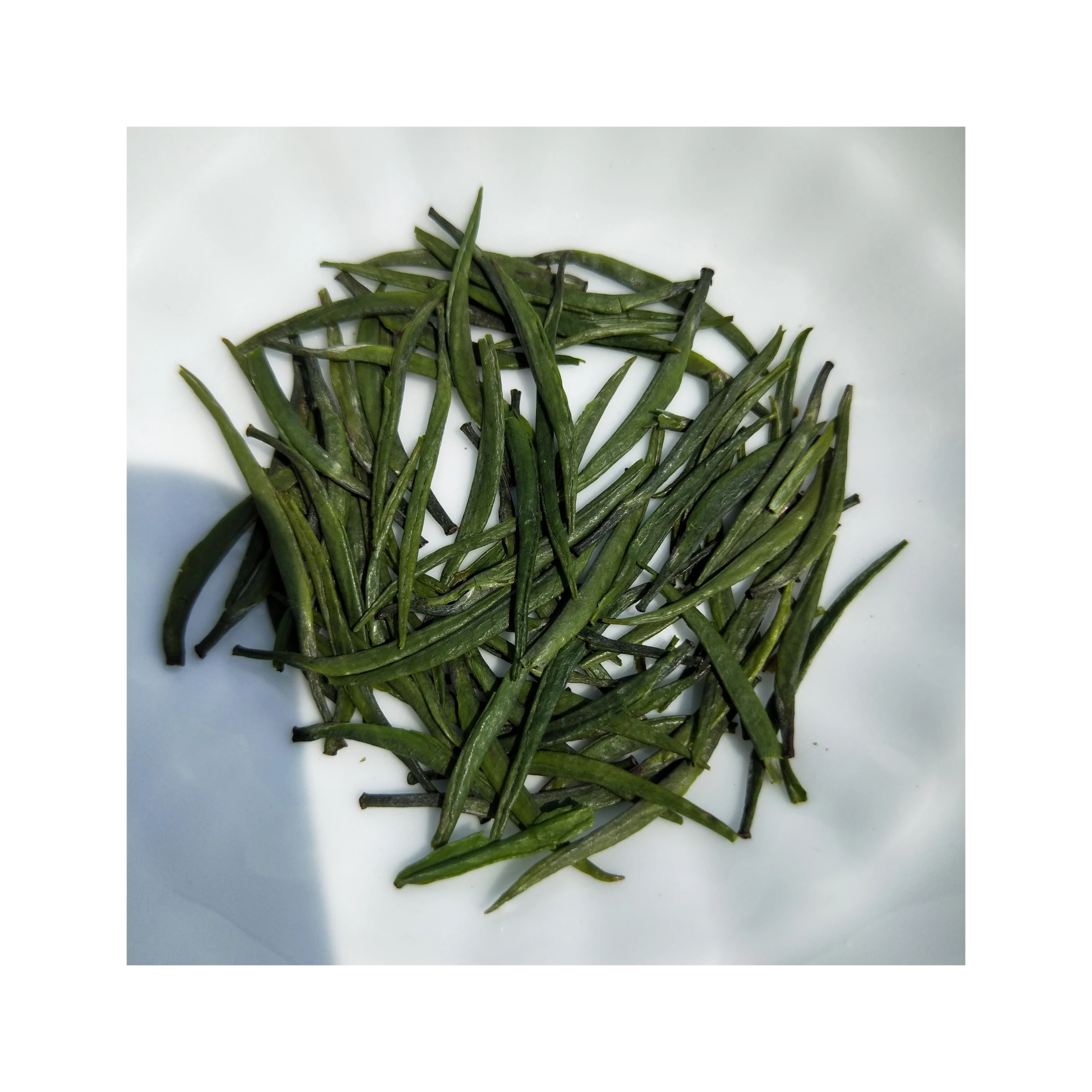 Wholesale Chinese traditional authentic premium green tea
