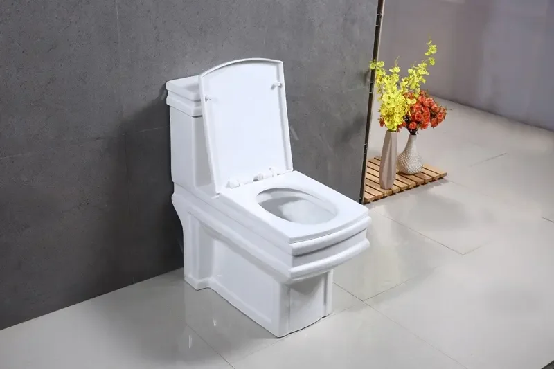 rec-toilet2.jpg