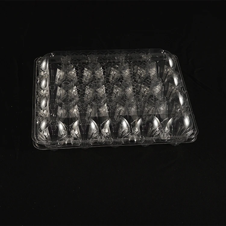 Wholesale 20 Holes Clear PET Transparent Rectangular Plastic Egg Tray