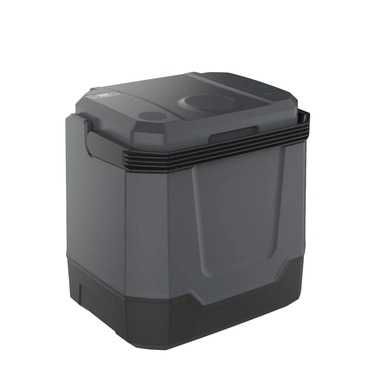 33l car fridge AC 230V  DC12V car fridge cooler with speaker play music 12v 24v cooler mini car fridge