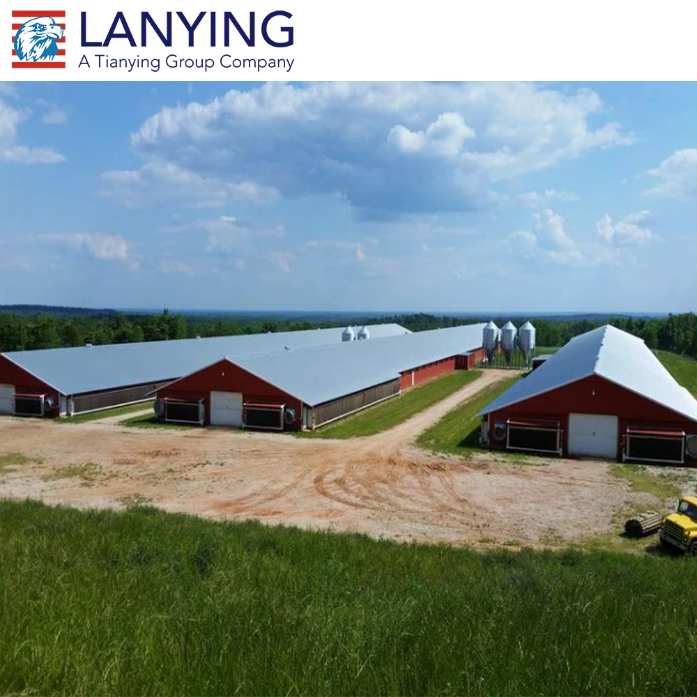 Птицефабричный дом изготовленный из стальной