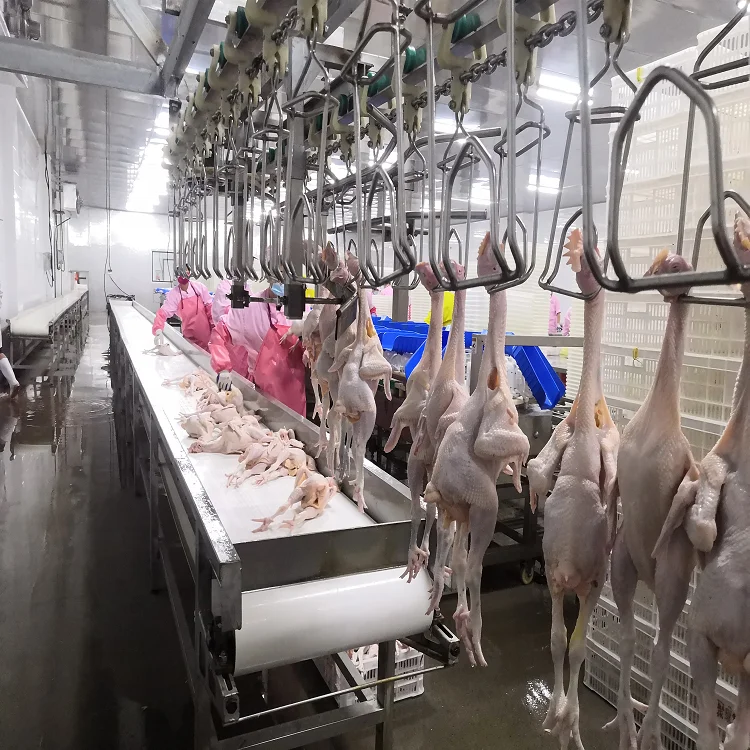 
Hot sell halal poultry slaughtering equipment chicken slaughter line 
