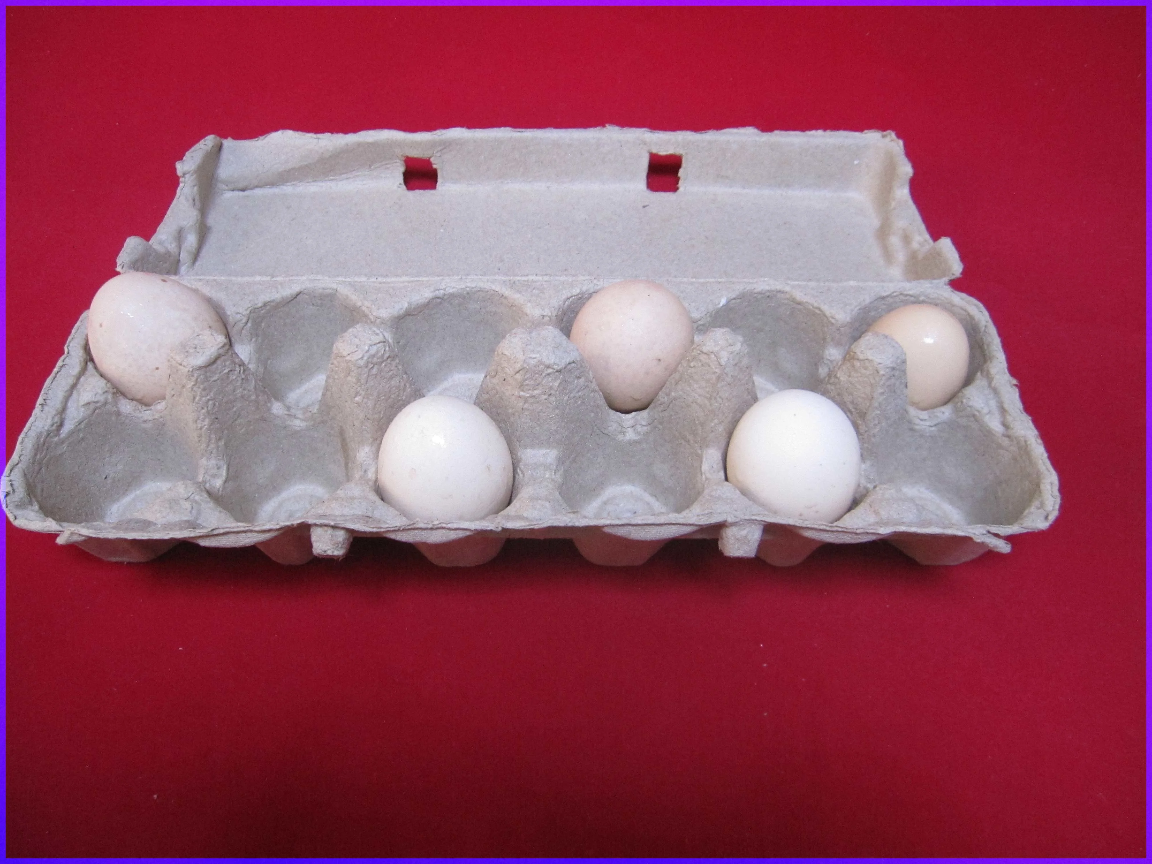 Wholesale eco-friendly egg holder box pulp moulding 4 pack white egg carton