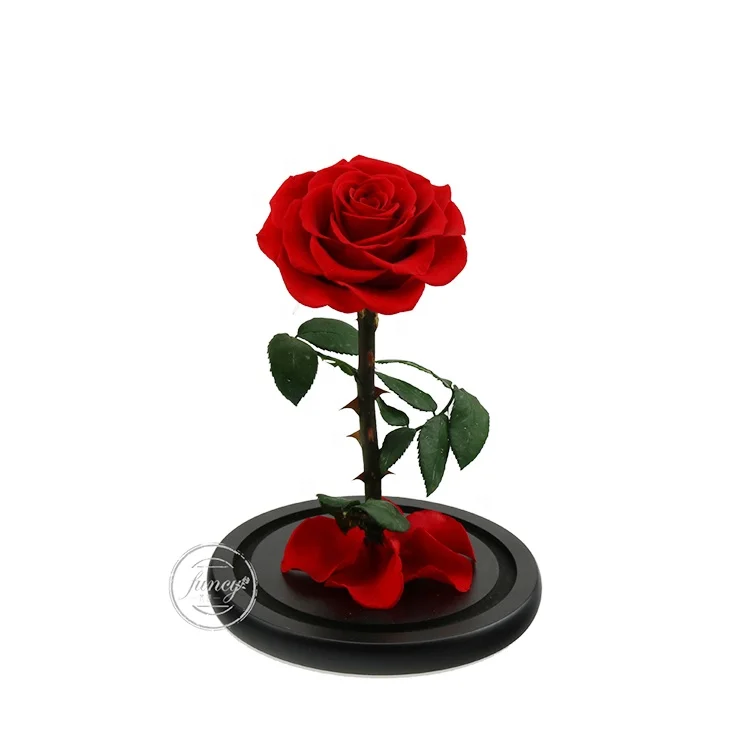 New Product Ideas Luxury Gift Sets Valentine Wedding Favors Eternal Forever Flower Preserved Rose in Glass Dome