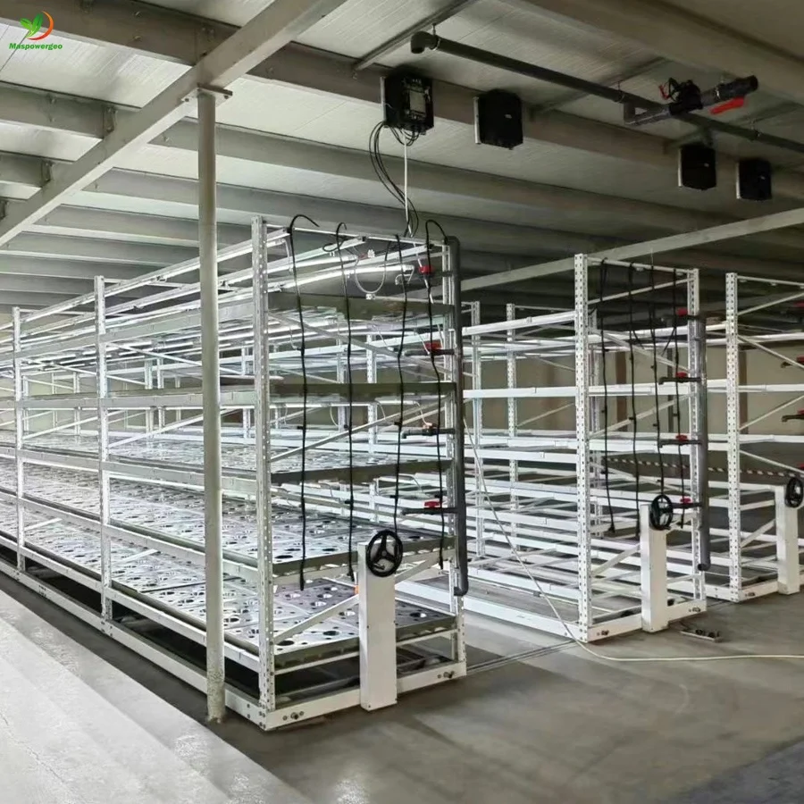 4x8 moveable vertical grow rack flood trays 2x4 for microgreens ,lettuce , salad hydroponics