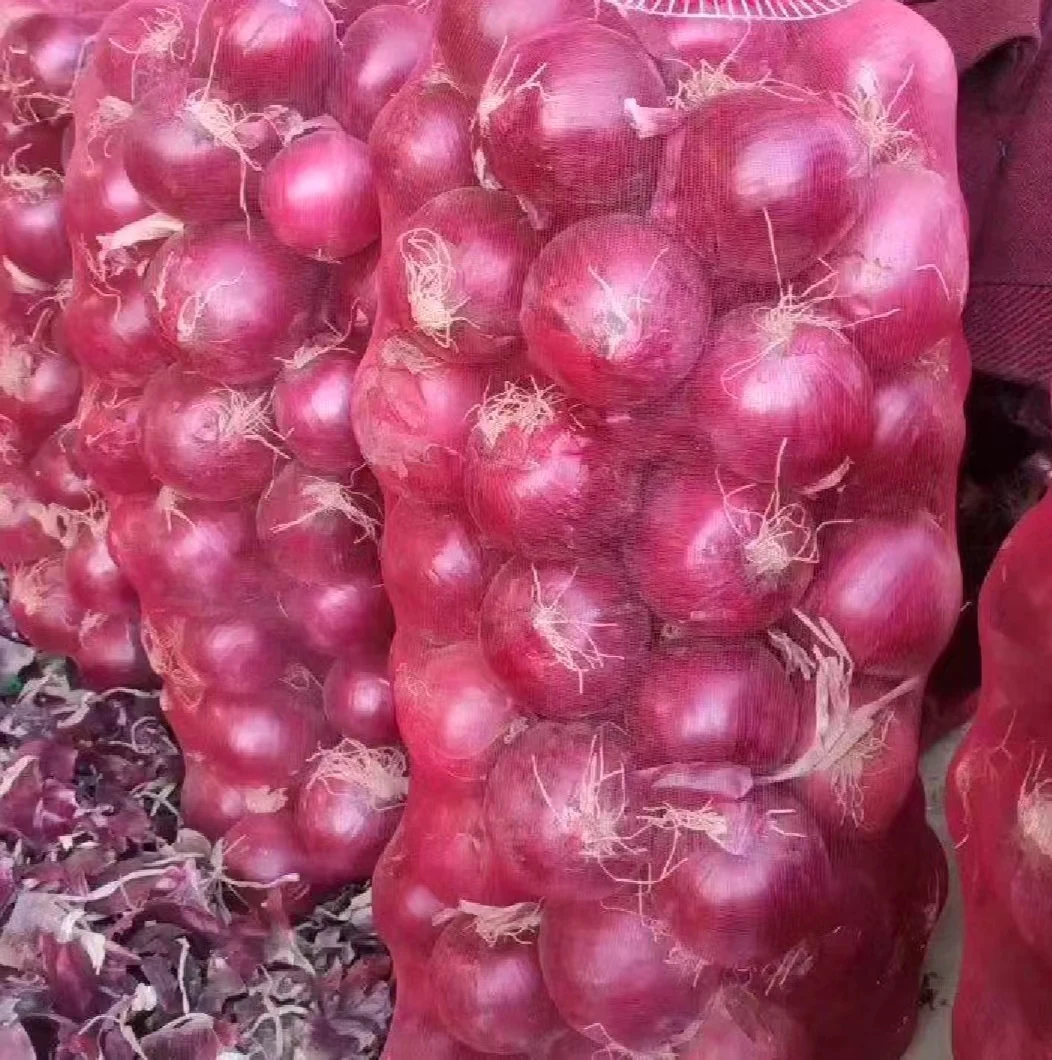 China from onion exporter fresh onion factory export price new crop red onion
