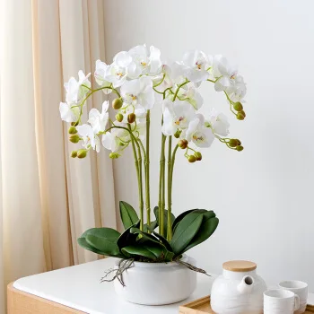 9 heads latex phalaenopsis miniascape preserved bulk butterfly orchid silk fabric home decor artificial flowers