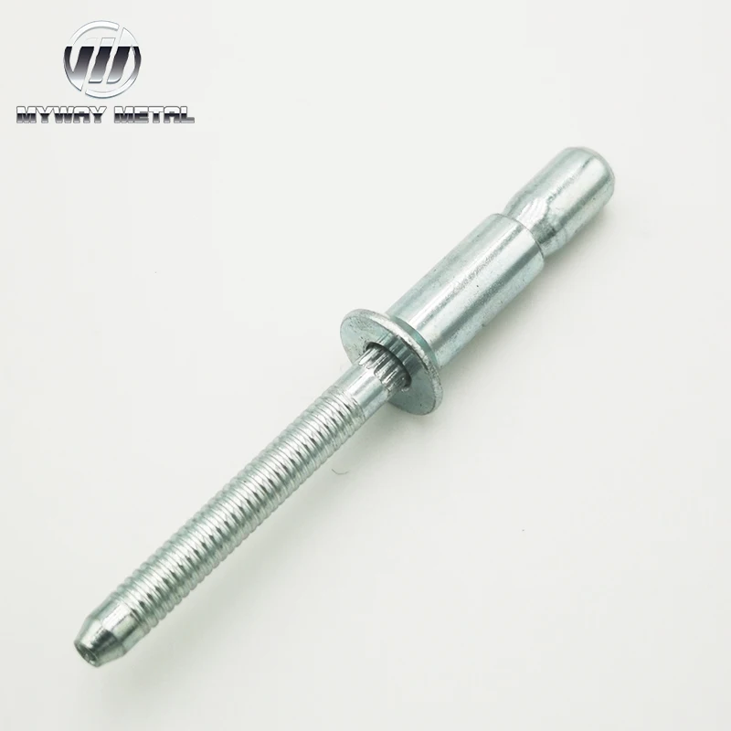  Wholesale factory price steel go-lock domed head blind rivet for truck