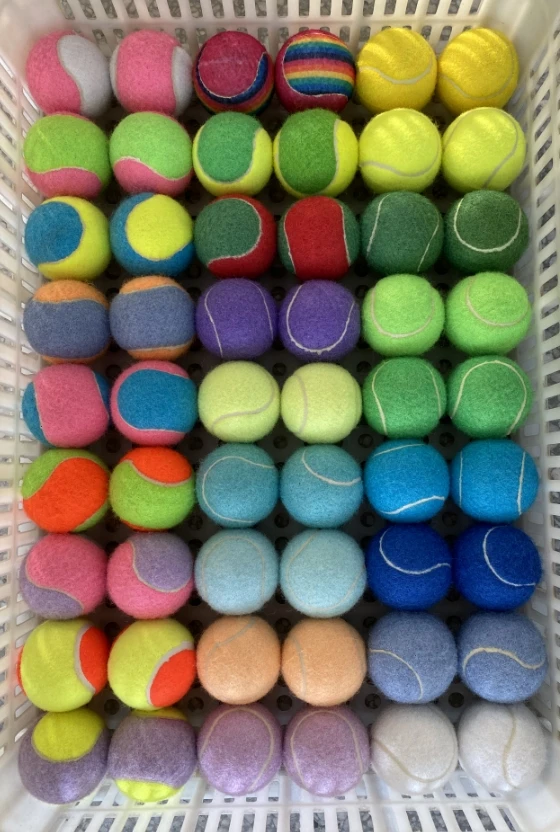 Juice Pet Manufacturer Wholesale Teach Ball Dog Toy Footprints Pet Movement Toys Pet Tennis Toy Ball In Stock