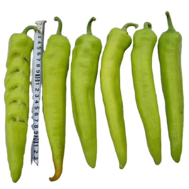 
2020 Hybrid F1 Yellow Pepper Seeds for Planting 