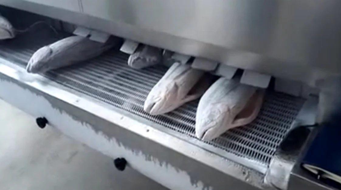 
iqf frozen fruit machinery / vegetable quick freezing equipment / individual quick freezer 