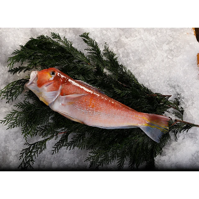 Fillet of Talefish(Amadai)