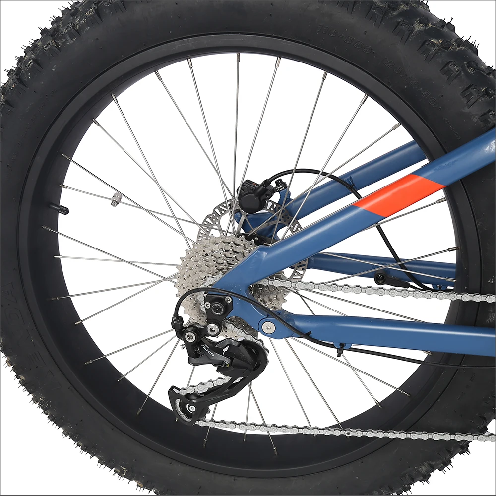 Ereal MT16 Fat tires mountain e-bike Customized Logo & color eco bikes Hot selling 48V Tektro E350 Bafang 1000W BAFANG mid motor