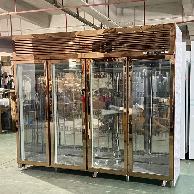 High Quality Dry Age Fridge Vertical Freezer Commercial Meat Display Freezer