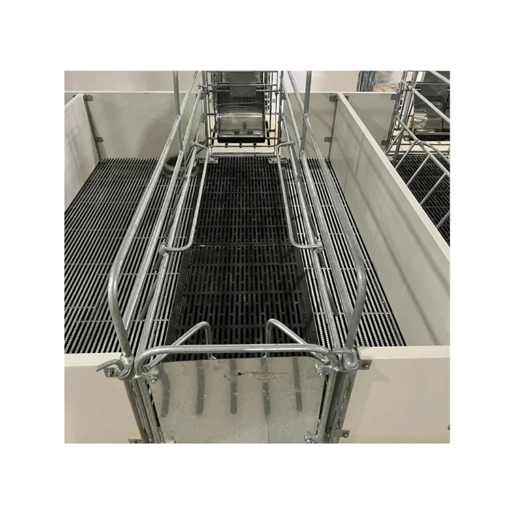 Farrowing Crate Pig Cheap Price 2-Door Design Animal Husbandry Pig Farming Equipment Custom Size From Vietnam Manufacturer