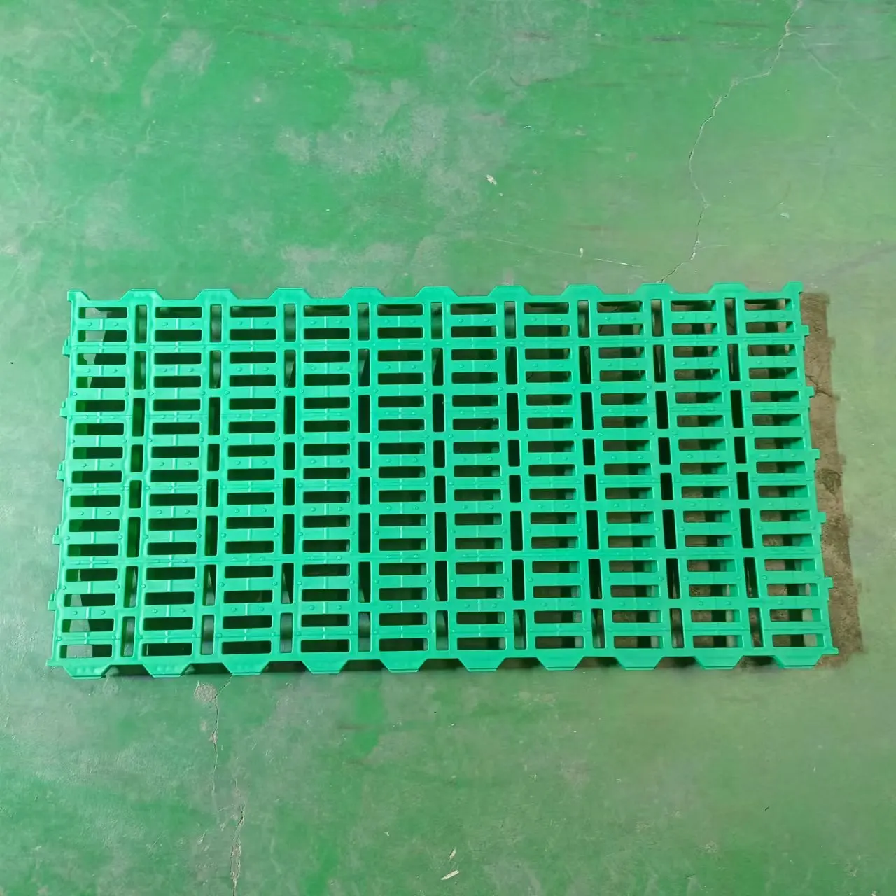 New type plastic goat slat floor 600*600mm plastic floor mat for sheep