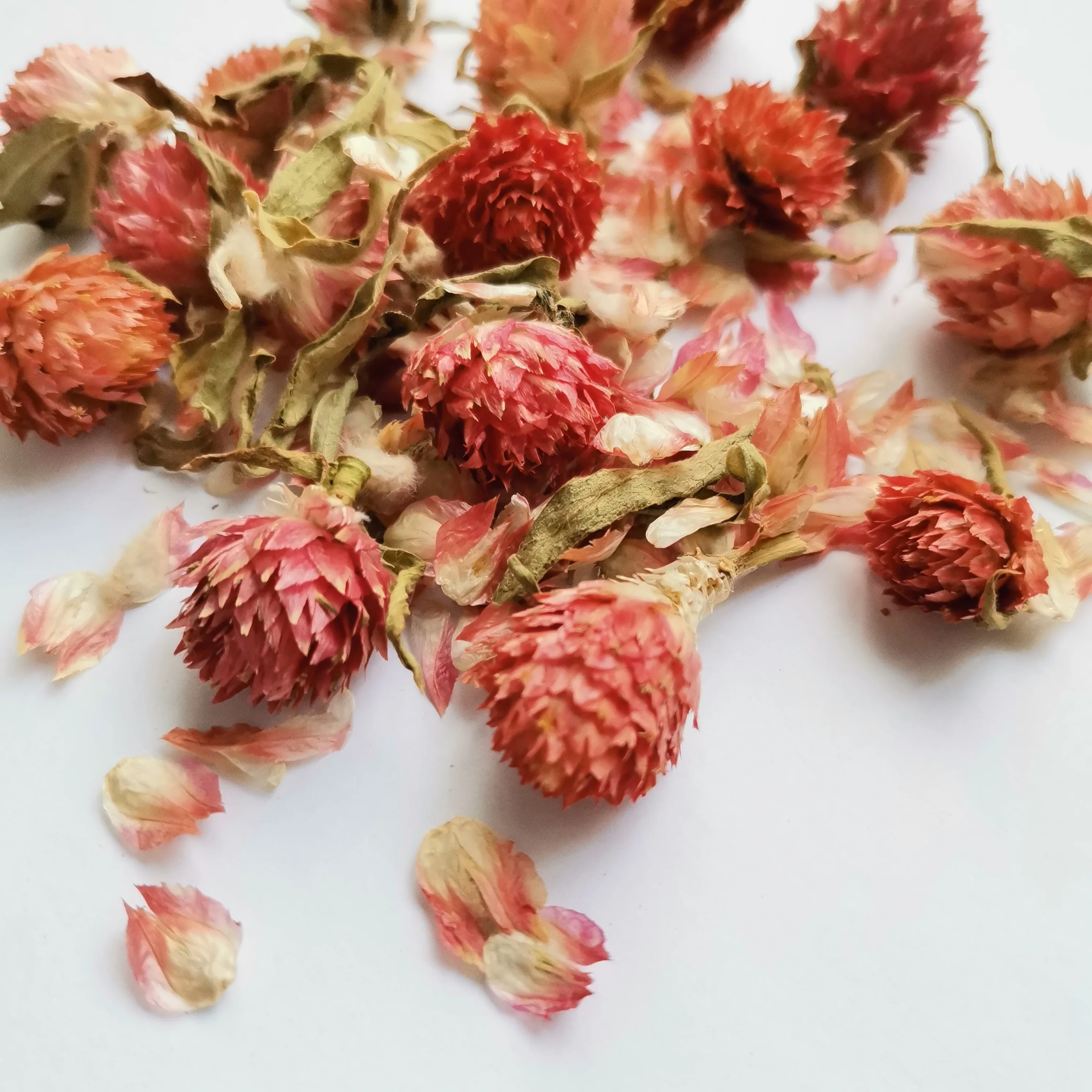 Making soap, candle flowers Dried Red Gomphrena globosa Flower, Natural Red Globe Amaranth Flower flavor tea