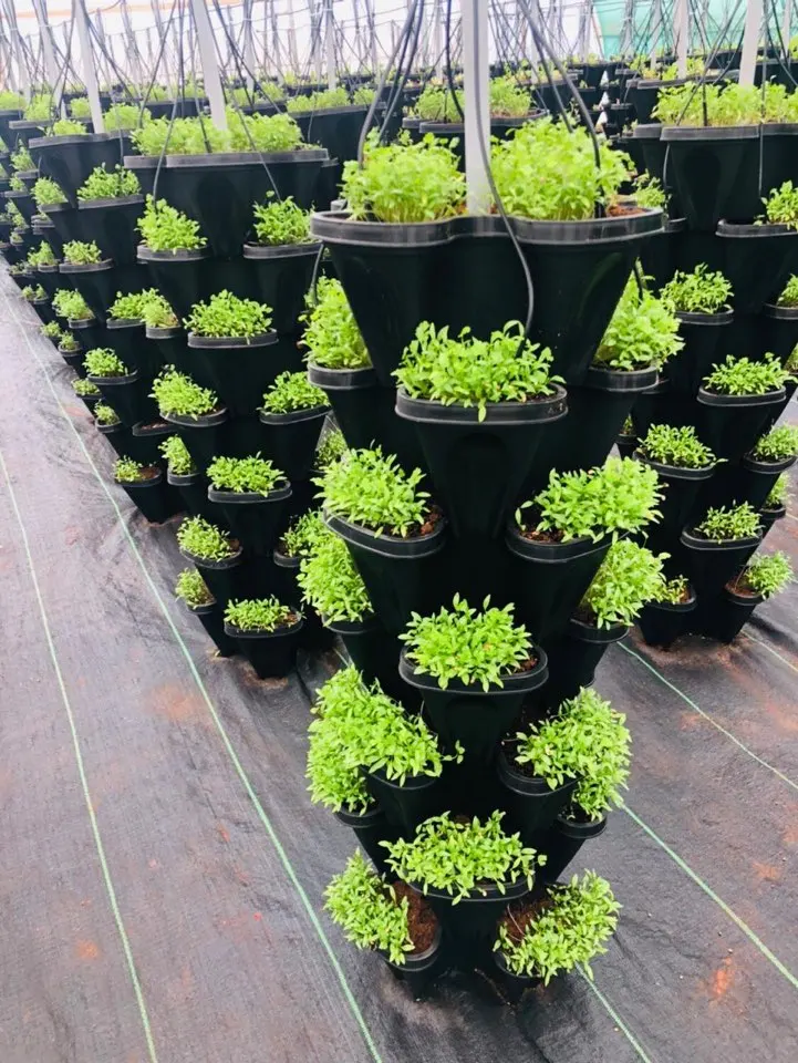 DIY Tier Planters Pot Stackable Irrigation System Colorful DIY Stacking Planter