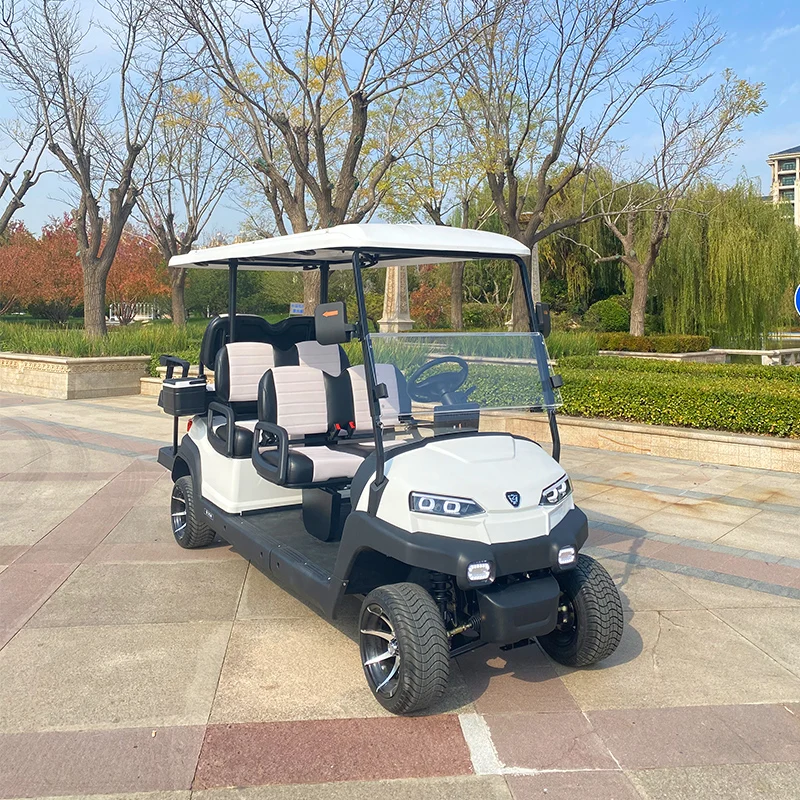 6-seat golf cart for vacation