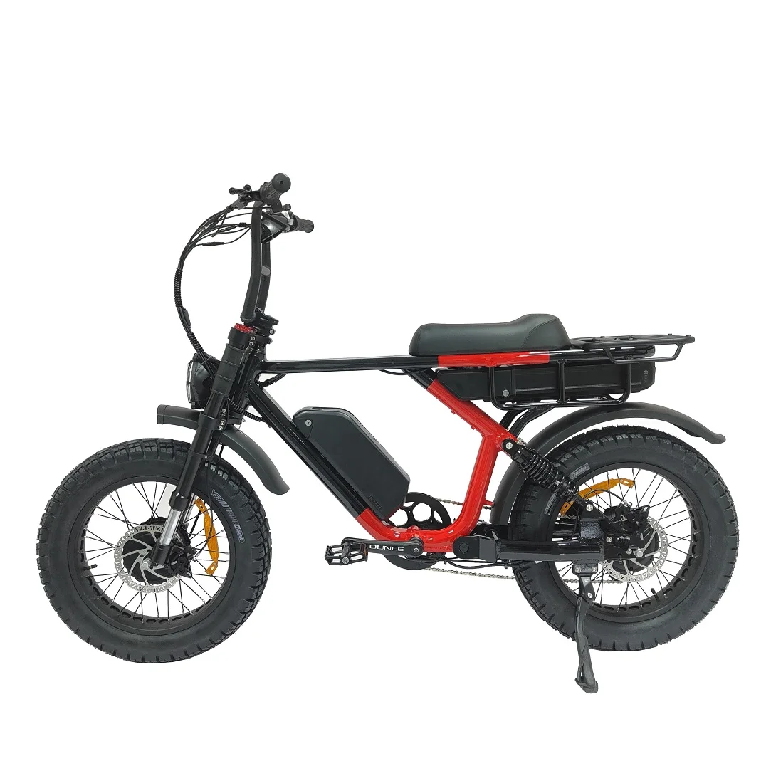 20inch bike electric 1000W 2000W dual retro bicycles full suspension fat tire ebike