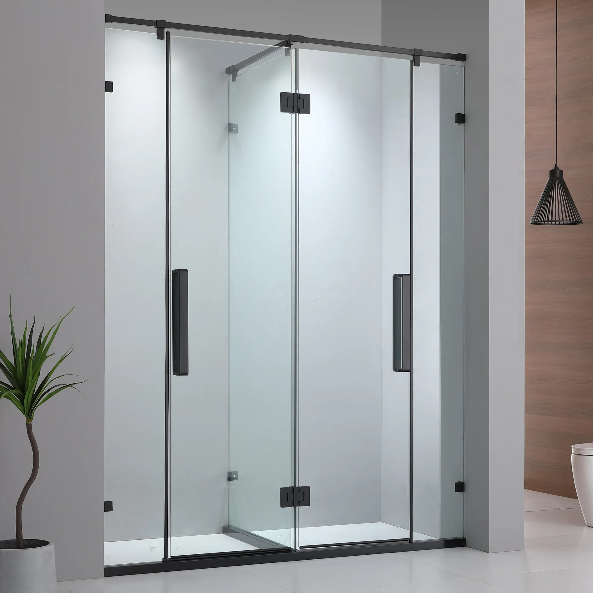 Дверь для душа со стеклянными петлями