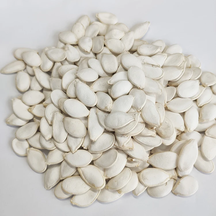 Price Online For Sale Snow White  In Shell Pumpkin Seeds