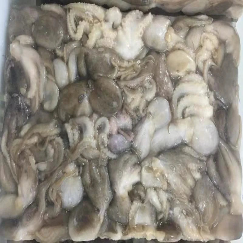 
Frozen Whole Cleaned Baby Octopus Flower Type 