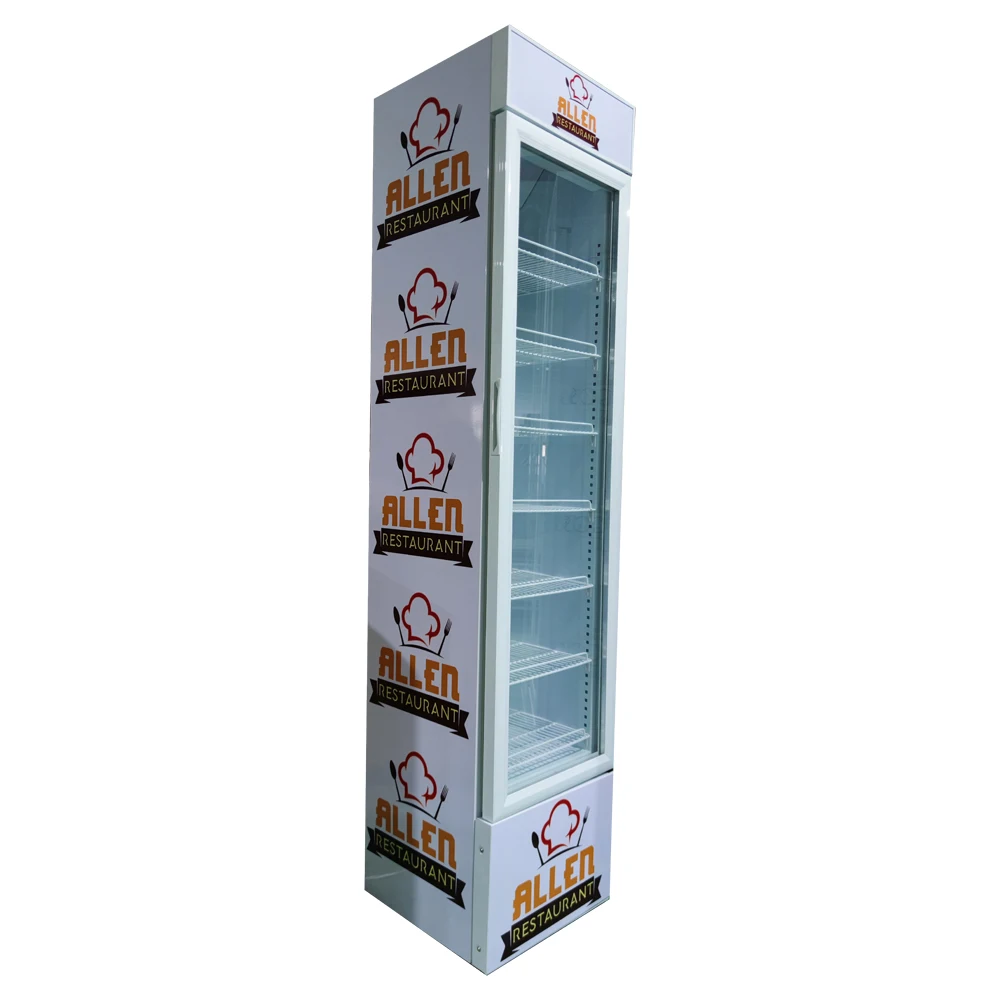 Commercial Vertical Freezer Beverage Fridge Upright Refrigerator Glass Door Display Freezer
